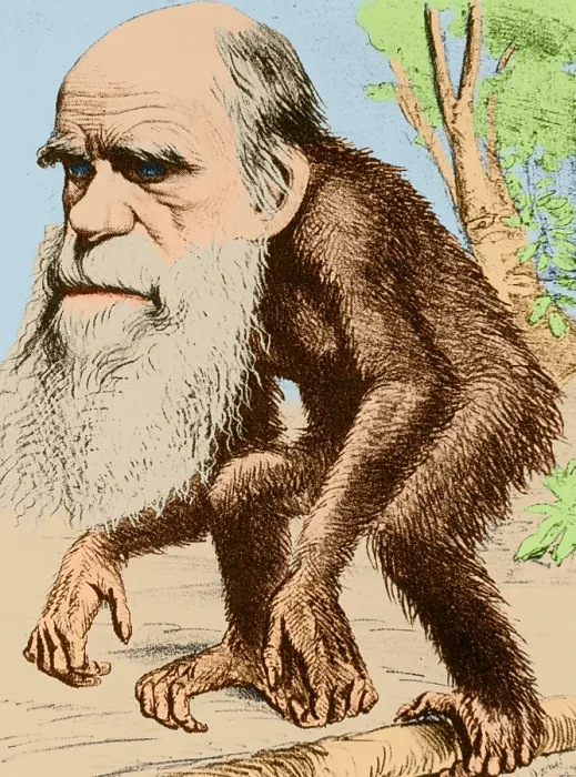 Framed Print : Caricature of Charles Darwin, 1871