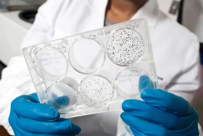 Framed Print : Cell Culture Growth