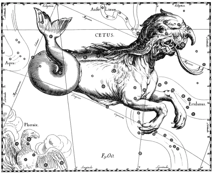 Framed Print : Cetus Constellation, Hevelius, 1687 Framed Print : Cetus Constellation, Hevelius, 1687