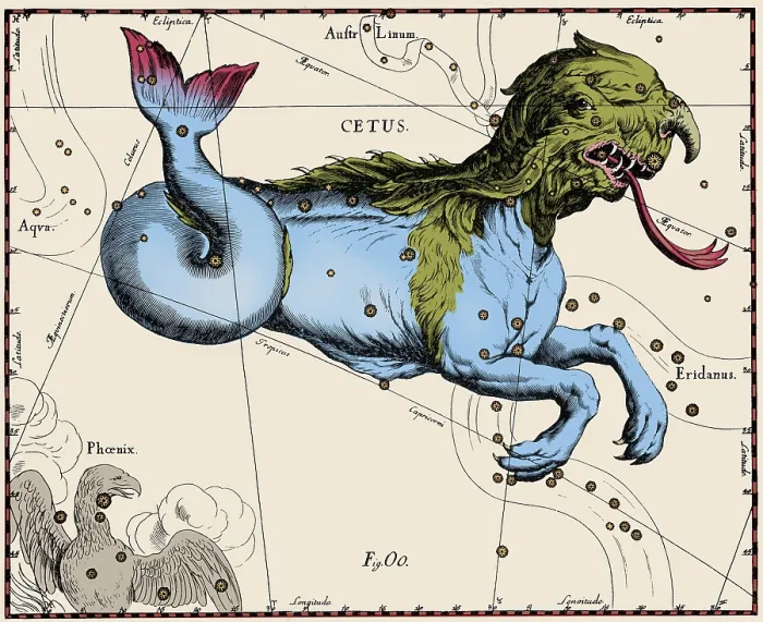 Framed Print : Cetus Constellation, Hevelius, 1687 Framed Print : Cetus Constellation, Hevelius, 1687