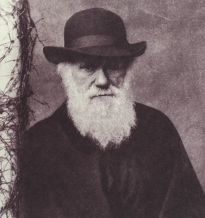 Framed Print : Charles Darwin, English Naturalist, 1881 Framed Print : Charles Darwin, English Naturalist, 1881