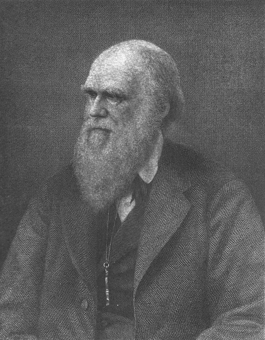 Framed Print : Charles Darwin, English Naturalist Framed Print : Charles Darwin, English Naturalist