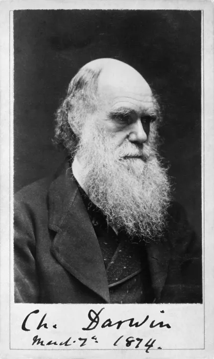 Framed Print : Charles Darwin, English Naturalist Framed Print : Charles Darwin, English Naturalist