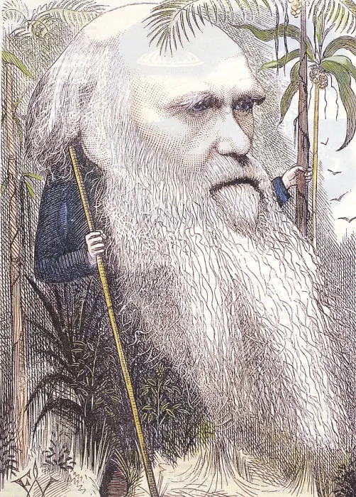 Framed Print : Charles Darwin, English Naturalist Framed Print : Charles Darwin, English Naturalist