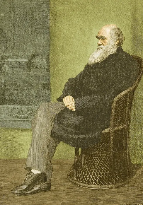Framed Print : Charles Darwin, English Naturalist