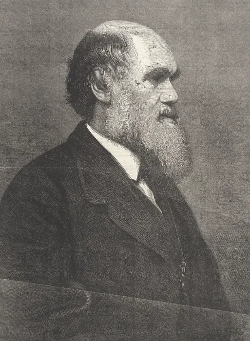 Framed Print : Charles Darwin, English Naturalist Framed Print : Charles Darwin, English Naturalist