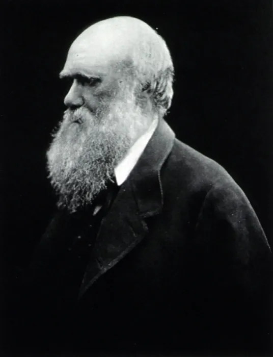 Framed Print : Charles Darwin, English Naturalist Framed Print : Charles Darwin, English Naturalist