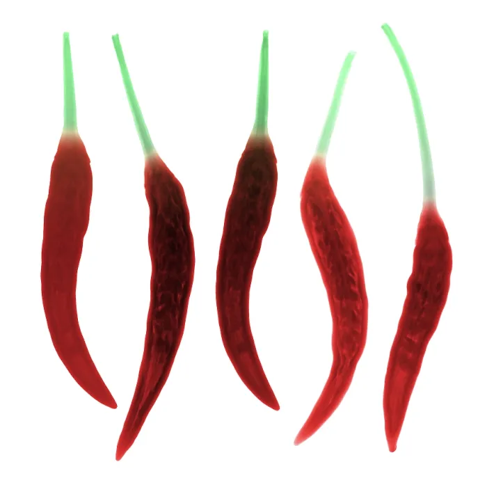 Framed Print : Chili Peppers, X-ray Framed Print : Chili Peppers, X-ray