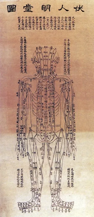 Framed Print : Chinese Acupuncture Chart, 1906 Framed Print : Chinese Acupuncture Chart, 1906