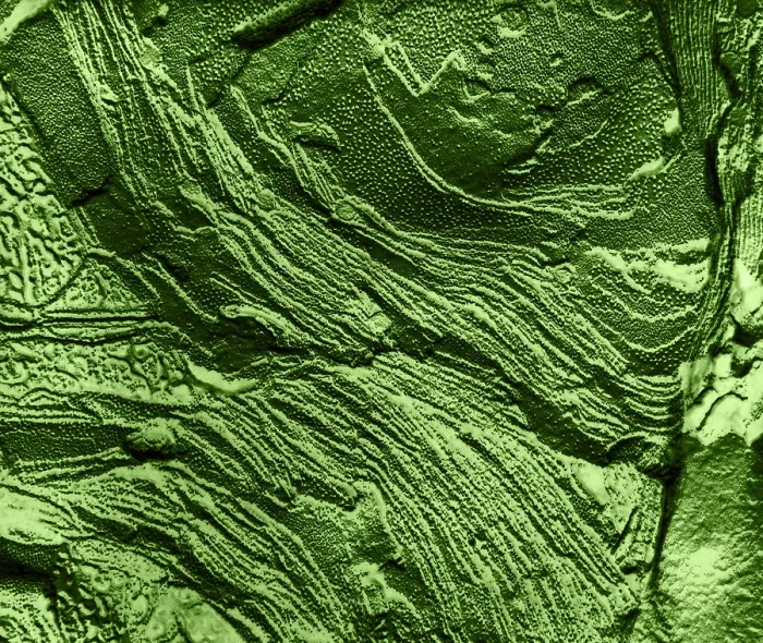 Framed Print : Chloroplast Membranes in Leaf Cell, TEM Framed Print : Chloroplast Membranes in Leaf Cell, TEM