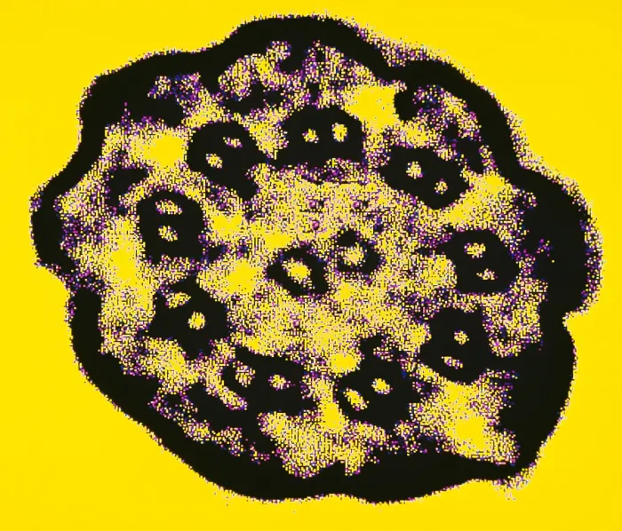 Framed Print : Cilium. Cross section of cilium on a ciliated protozoan Framed Print : Cilium. Cross section of cilium on a ciliated protozoan