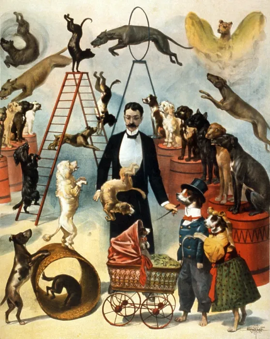 Framed Print : Circus Dog Act, 1899 Framed Print : Circus Dog Act, 1899