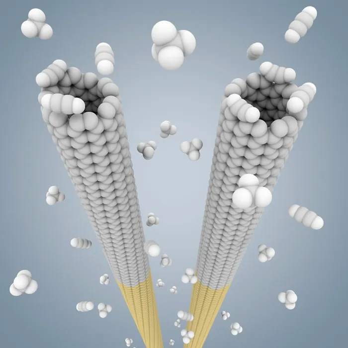 Framed Print : Cloning Carbon Nanotubes Framed Print : Cloning Carbon Nanotubes