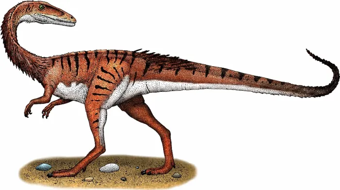 Framed Print : Coelophysis Framed Print : Coelophysis