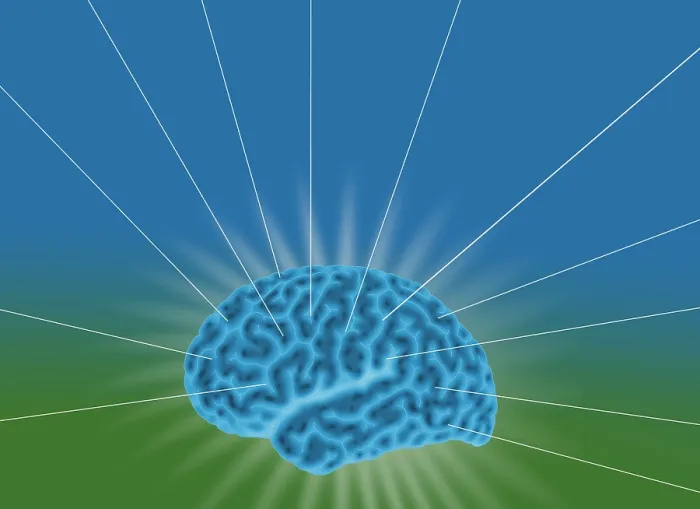 Framed Print : Conceptual Brain, Illustration Framed Print : Conceptual Brain, Illustration