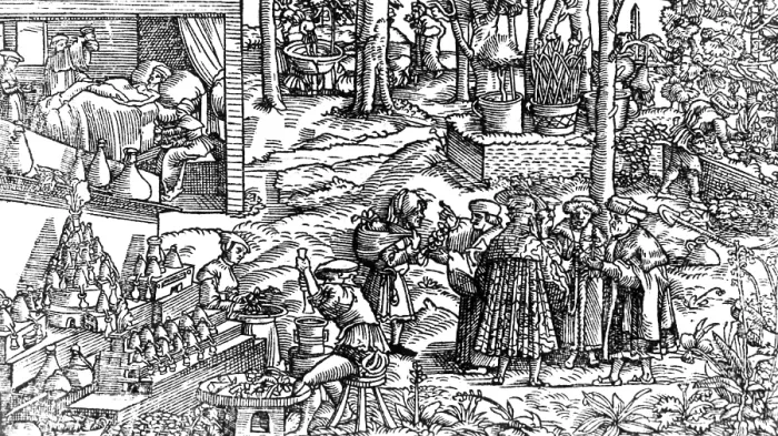 Framed Print : Consultation on German Herbarium, 16th Century Framed Print : Consultation on German Herbarium, 16th Century