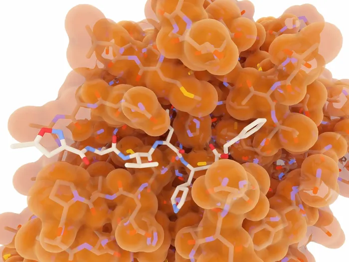 Framed Print : Coronavirus Main Protease with Inhibitor, Computer Illustration