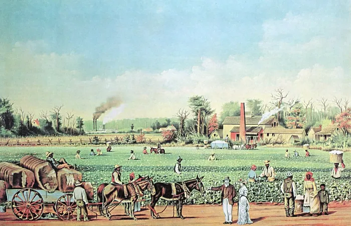 Framed Print : Cotton Plantation on the Mississippi, 19th Century