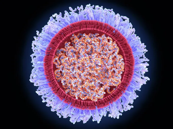 Framed Print : The COVID-19 mRNA vaccine