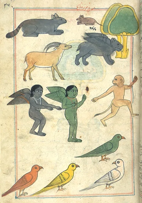Framed Print : Creatures from the Island of Zanj, 17th Century Framed Print : Creatures from the Island of Zanj, 17th Century