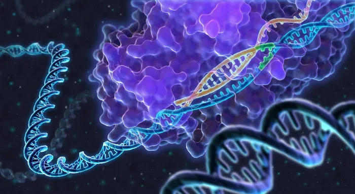 Framed Print : CRISPR Genome Editing Framed Print : CRISPR Genome Editing