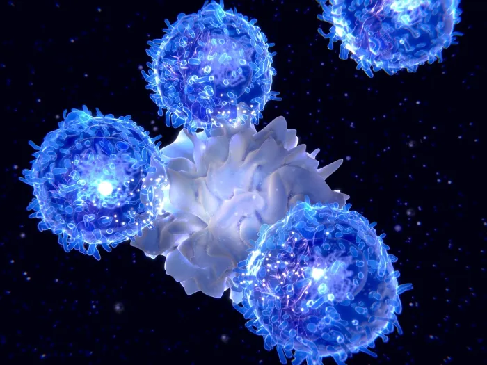 Framed Print : Dendritic cell presenting an antigen to T-lymphocytes Framed Print : Dendritic cell presenting an antigen to T-lymphocytes