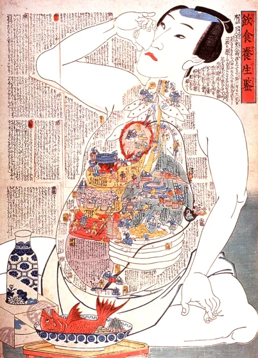 Framed Print : Digestive System, 19th Century