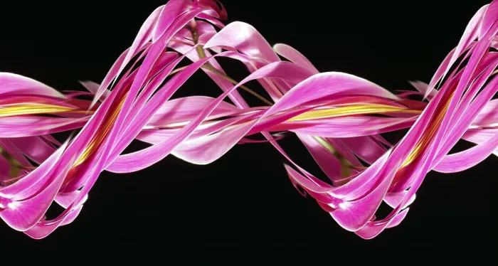 Framed Print : Digital streak image of an orchid
