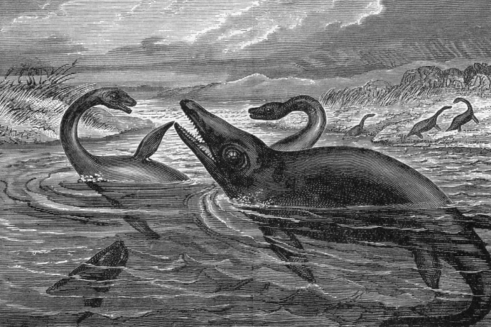 Framed Print : Dinosaur-Like Reptiles Swimming, Illustration