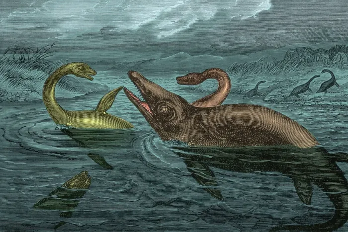 Framed Print : Dinosaur-Like Reptiles Swimming, Illustration Framed Print : Dinosaur-Like Reptiles Swimming, Illustration