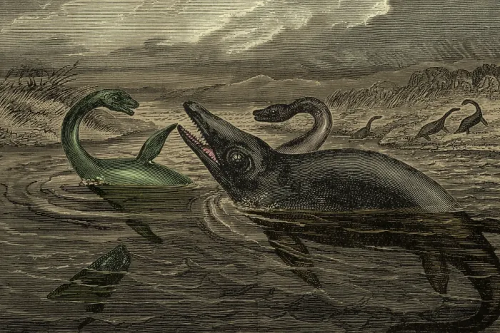 Framed Print : Dinosaur-Like Reptiles Swimming, Illustration Framed Print : Dinosaur-Like Reptiles Swimming, Illustration