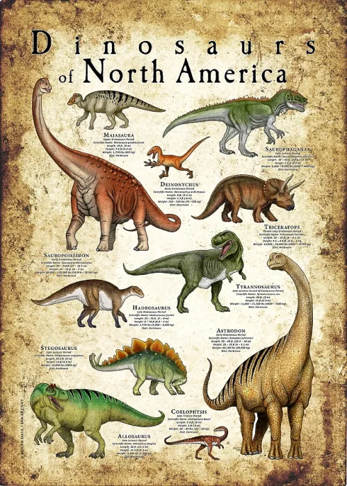 Framed Print : Dinosaurs of North America Framed Print : Dinosaurs of North America