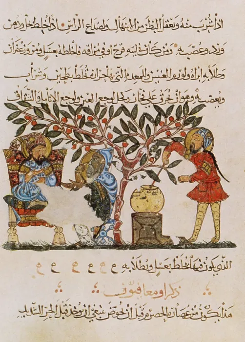 Framed Print : Dioscorides, 'De Materia Medica', 13th Century Framed Print : Dioscorides, 'De Materia Medica', 13th Century