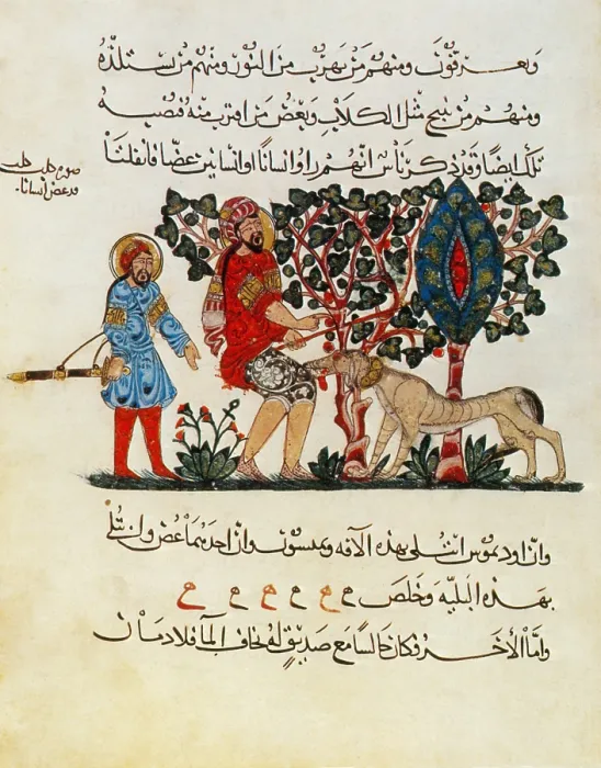 Framed Print : Dioscorides, 'De Materia Medica', 13th Century Framed Print : Dioscorides, 'De Materia Medica', 13th Century
