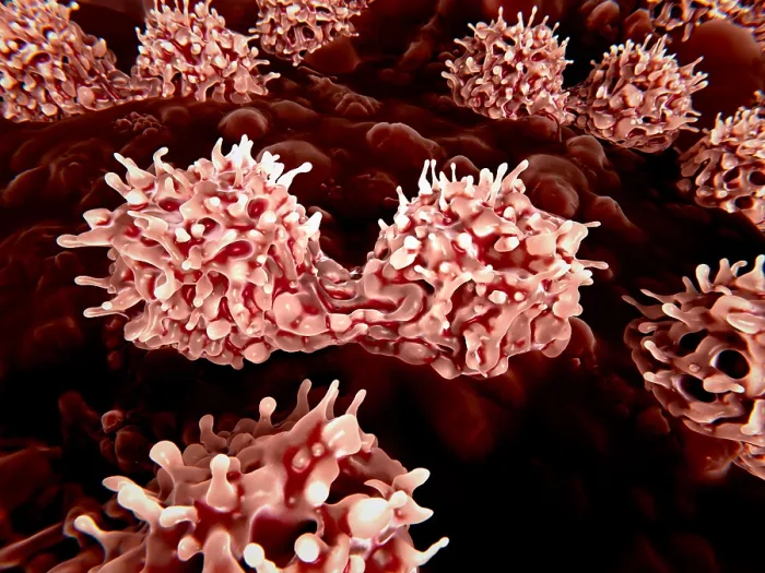 Framed Print : Dividing stem cells in the bone marrow Framed Print : Dividing stem cells in the bone marrow