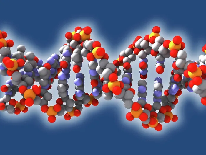 Framed Print : DNA, artwork
