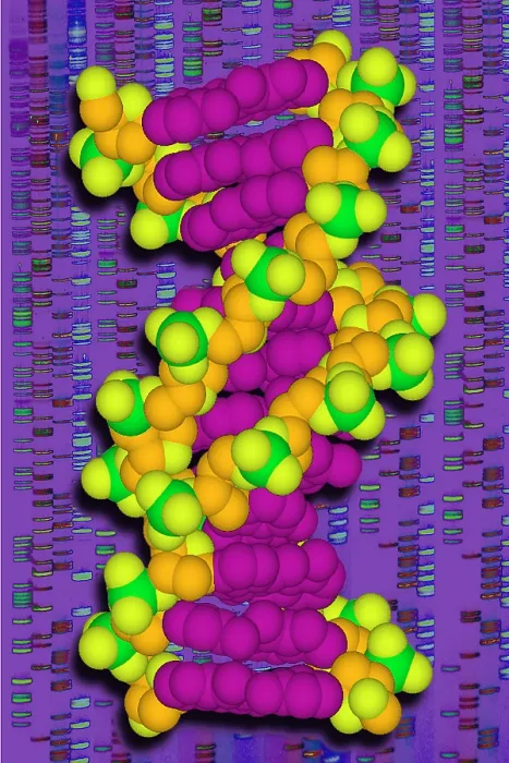 Framed Print : DNA with autoradiograph Framed Print : DNA with autoradiograph