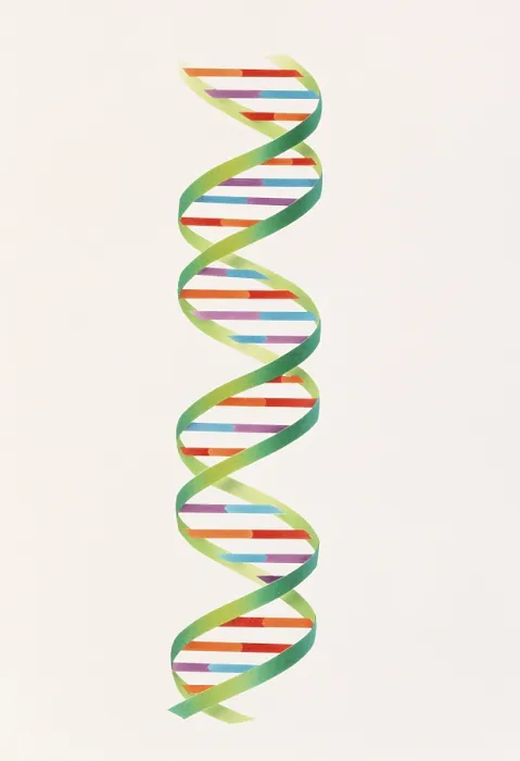 Framed Print : DNA double helix Framed Print : DNA double helix