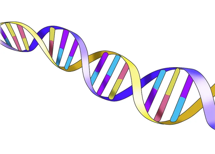 Framed Print : DNA, Double Helix, Illustration