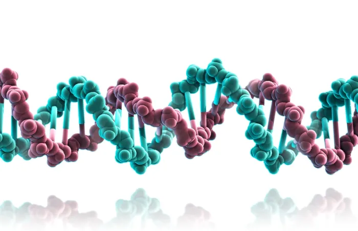 Framed Print : DNA, Molecular Model