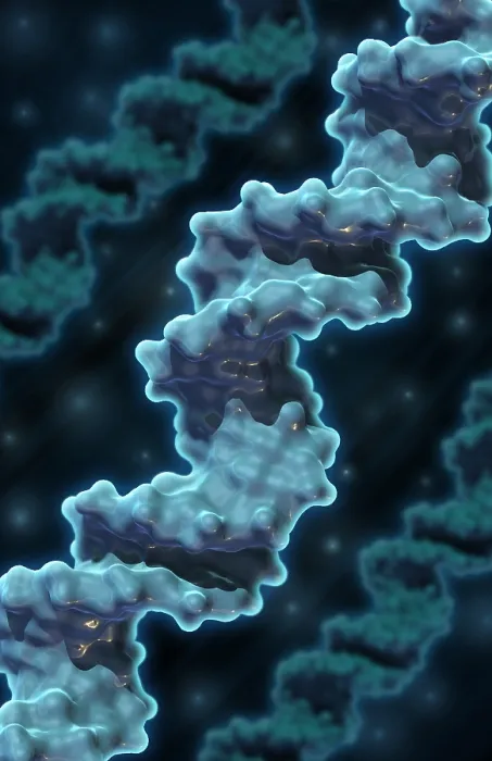 Framed Print : DNA, Molecular Model Framed Print : DNA, Molecular Model