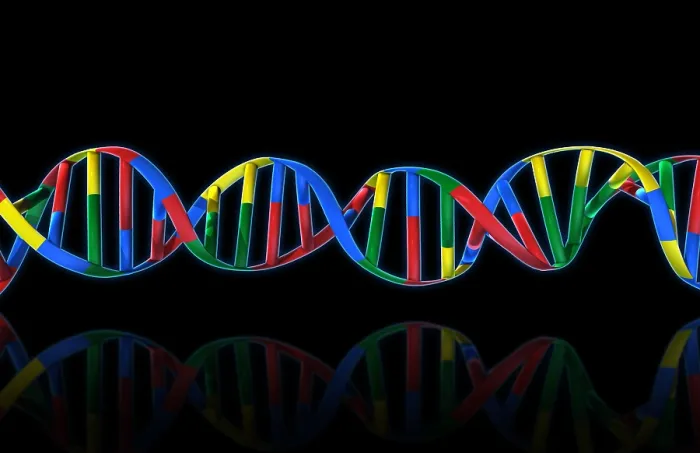 Framed Print : DNA, Ribbon Model