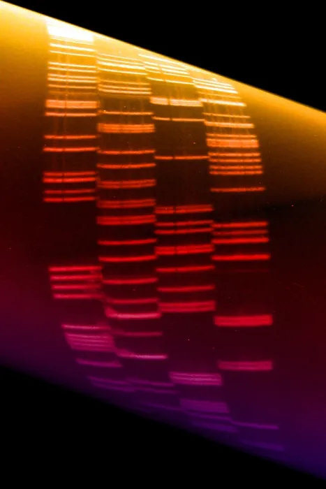 Framed Print : DNA sequence