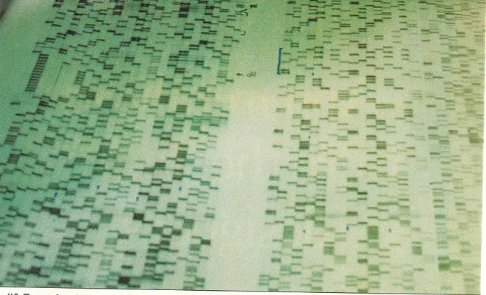 Framed Print : DNA Sequencing Gel Framed Print : DNA Sequencing Gel