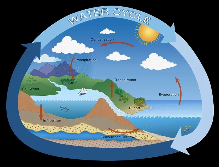 Framed Print : Earth's Water Cycle, hydrologic cycle, rain, evaporation, condensation, ecology illustration Framed Print : Earth's Water Cycle, hydrologic cycle, rain, evaporation, condensation, ecology illustration