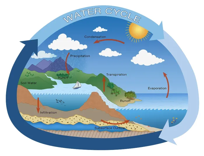 Framed Print : Earth's Water Cycle, hydrologic cycle, rain, evaporation, condensation, ecology illustration Framed Print : Earth's Water Cycle, hydrologic cycle, rain, evaporation, condensation, ecology illustration