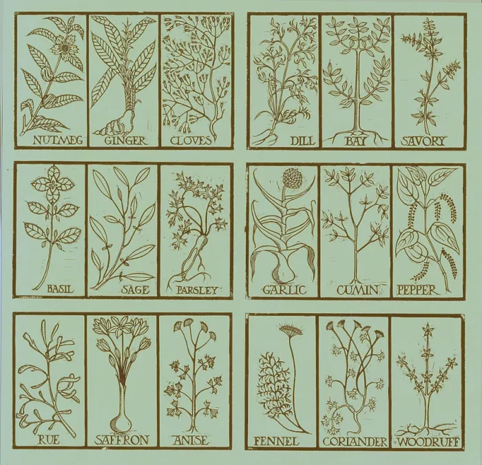 Framed Print : Edible herbs Framed Print : Edible herbs