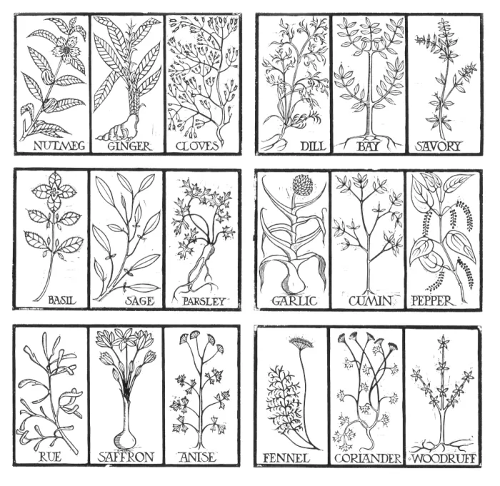 Framed Print : Edible Herbs Framed Print : Edible Herbs