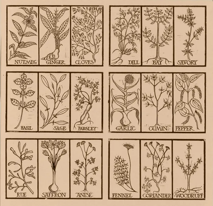 Framed Print : Edible herbs Framed Print : Edible herbs