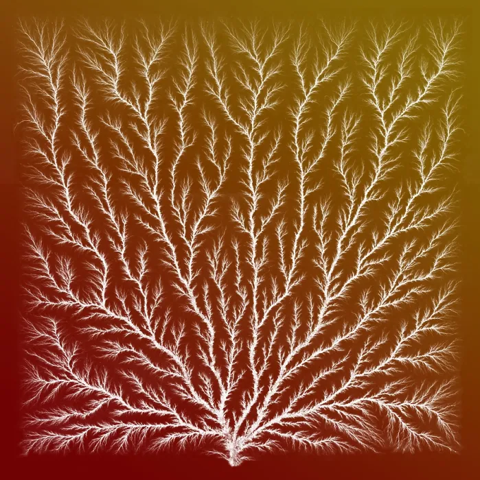 Framed Print : Electron Tree or Lichtenberg Figure Framed Print : Electron Tree or Lichtenberg Figure